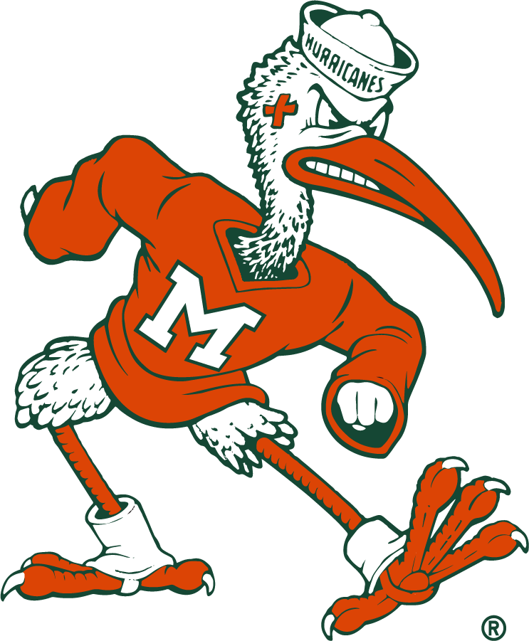 Miami Hurricanes 2019-Pres Secondary Logo diy iron on heat transfer